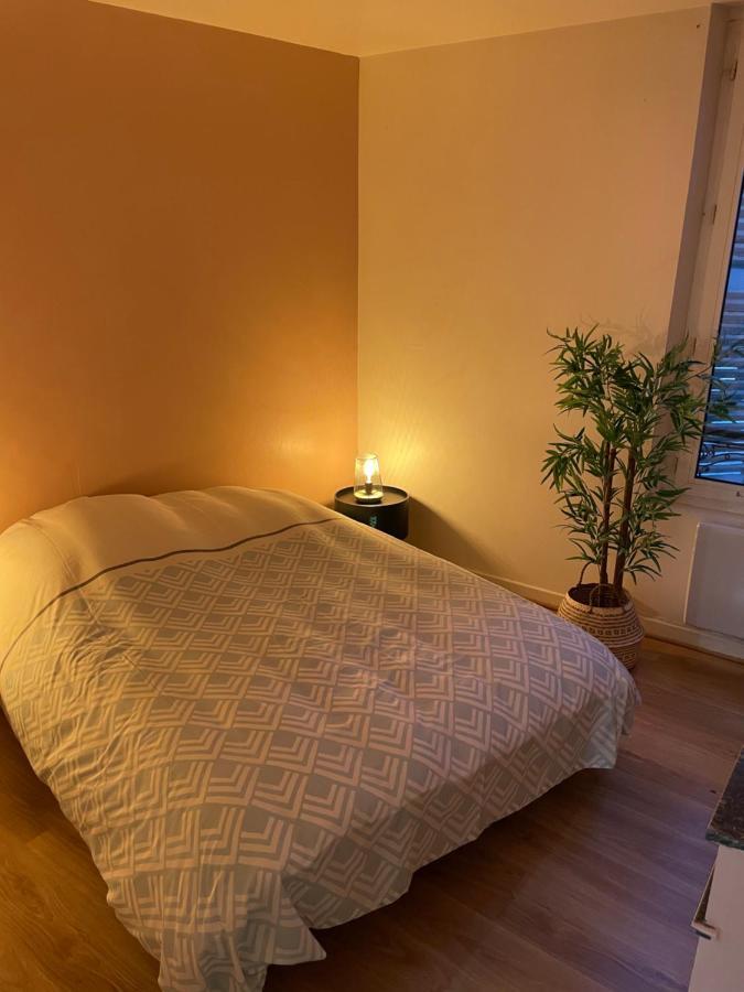Appartement Complet Hyper Centre Осер Екстер'єр фото